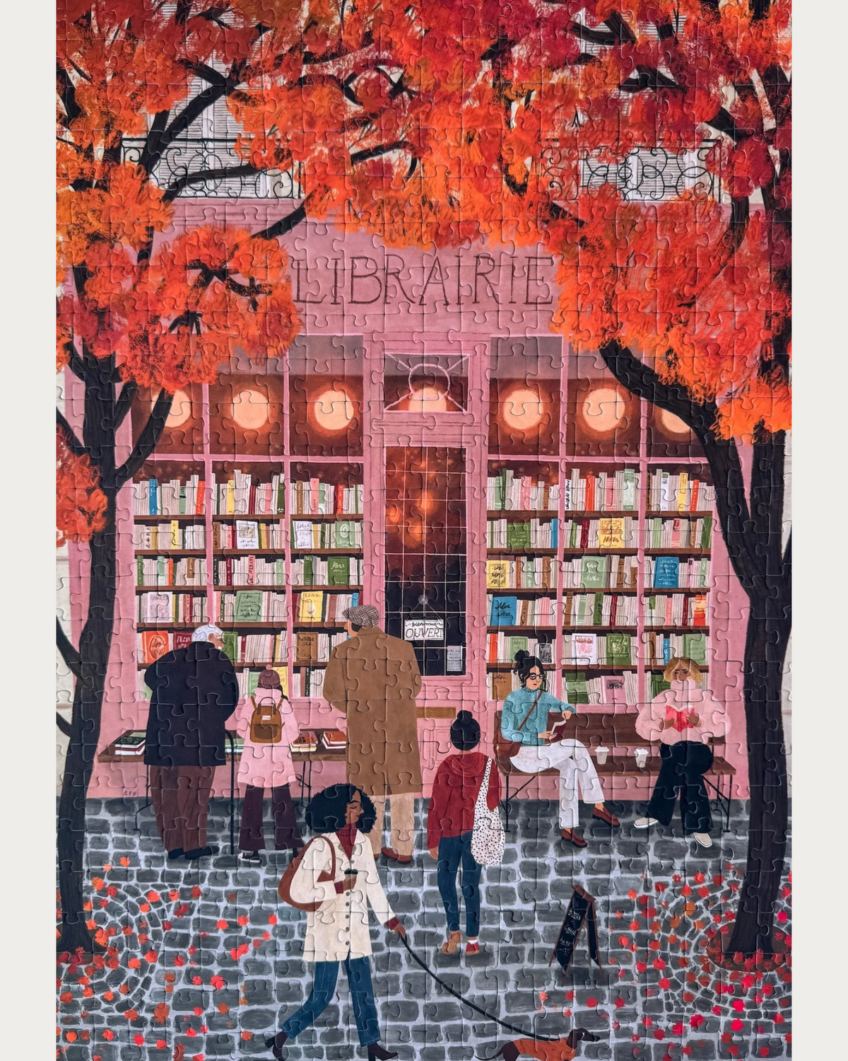 Puzzle La Librairie, 500 pièces